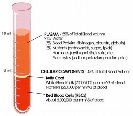 Peripheral blood content.